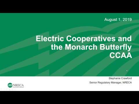 Presentation slide titled