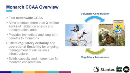 Overview of the Monarch CCAA program highlighting its goals to establish over 2 million acres of habitat for monarchs on energy and transportation lands, providing regulatory certainty and operational flexibility for infrastructure management, and promoting voluntary conservation efforts. The image includes visuals of conservation activities and a monarch butterfly.