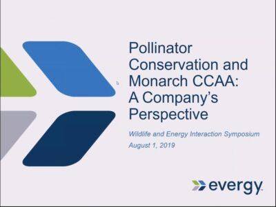 Title slide for a presentation on "Pollinator Conservation and Monarch CCAA: A Company’s Perspective" at the Wildlife and Energy Interaction Symposium, held on August 1, 2019, featuring the Evergy logo.