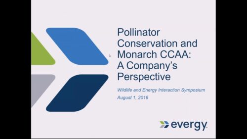 Title slide for a presentation on