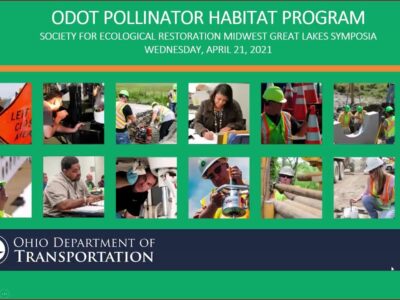 Collage of images from the ODOT Pollinator Habitat Program presentation at the Society for Ecological Restoration Midwest Great Lakes Symposia on April 21, 2021, showcasing various activities related to ecological restoration and transportation management.