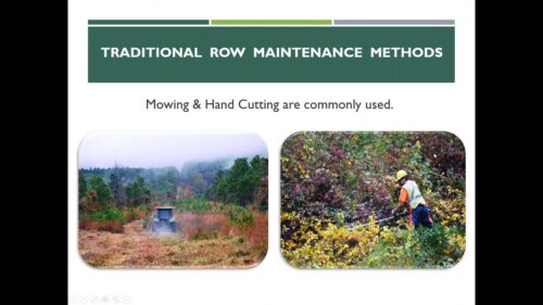 Alt text: Image depicting traditional row maintenance methods, featuring a tractor mowing grass on the left and a worker using a hand cutter to manage vegetation on the right.