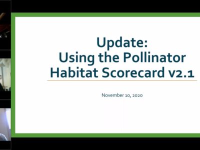 Update on using the Pollinator Habitat Scorecard version 2.1 presented on November 10, 2020, featuring three speakers discussing pollinator conservation strategies.