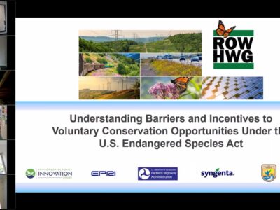 Virtual meeting screenshot featuring multiple participants discussing barriers and incentives for voluntary conservation under the U.S. Endangered Species Act. The presentation includes visuals of natural landscapes, wildlife, and renewable energy sources, along with logos from various organizations involved in environmental policy and conservation efforts.