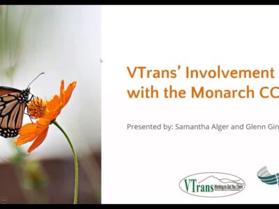 A Monarch butterfly perched on a vibrant orange flower, illustrating the connection between wildlife and environmental conservation efforts, as highlighted in the presentation "VTrans' Involvement with the Monarch CCAA."
