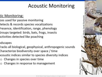 Slide on Acoustic Monitoring showcasing its purpose in wildlife conservation. It details the use of devices for passive monitoring of species vocalizations, including birds, bats, frogs, and insects. The slide discusses soundscapes that track biological and anthropogenic sounds, characterizing biodiversity and changes over time. Images of a bat and an owl illustrate the targeted species for monitoring.