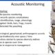 Slide on Acoustic Monitoring showcasing its purpose in wildlife conservation. It details the use of devices for passive monitoring of species vocalizations, including birds, bats, frogs, and insects. The slide discusses soundscapes that track biological and anthropogenic sounds, characterizing biodiversity and changes over time. Images of a bat and an owl illustrate the targeted species for monitoring.