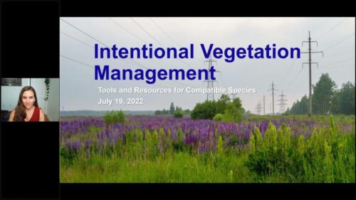 A woman presenting on intentional vegetation management, with a scenic background of purple flowers and power lines, highlighting tools and resources for compatible species, July 19, 2022.