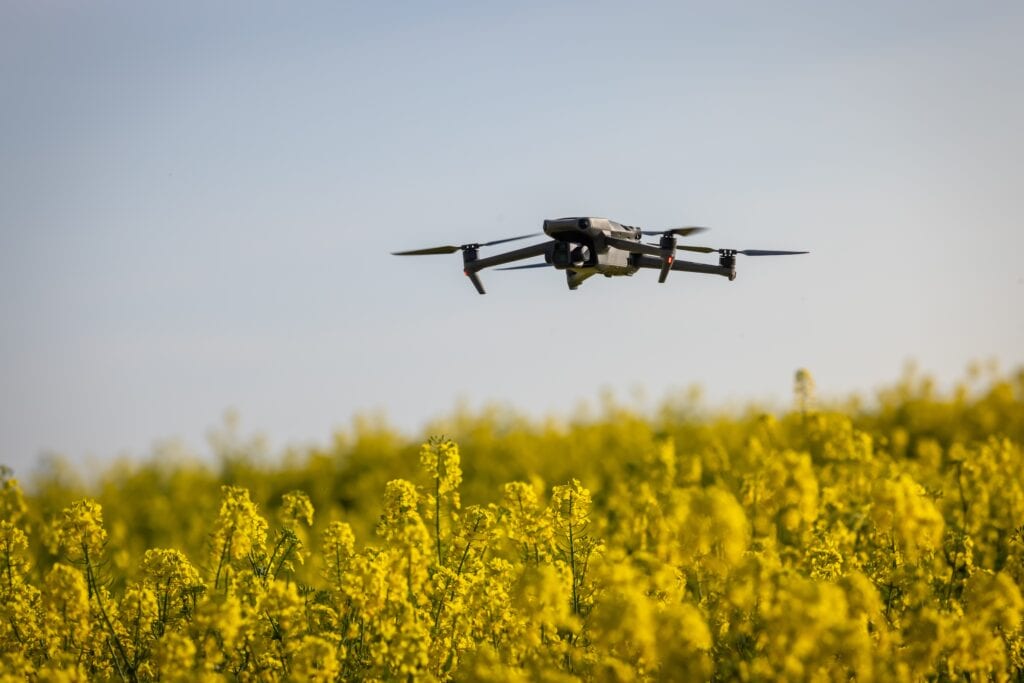 A drone flying over a vibrant field of yellow flowers under a clear blue sky, showcasing agricultural technology and aerial photography.
