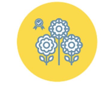 Seed Selection Tool Image