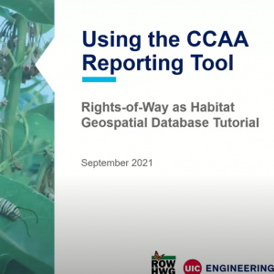 Cover of using the CCAA Reporting Tool video