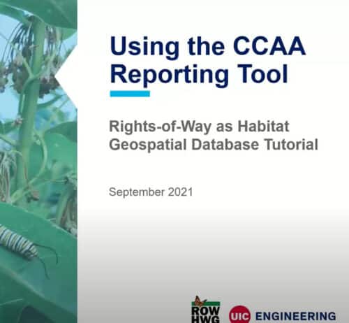 Thumbnail for Using the CCAA Reporting Tool video. Click the link above the thumbnail to open the video in a new window.